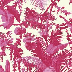 Color – Off-White & Azalea