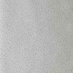 Color – Pumice