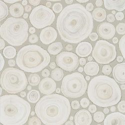 Color – Ash