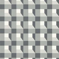 Color – Black Earth/Sketched/Diffused Light