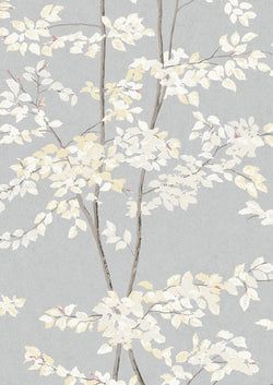 Color – Dove