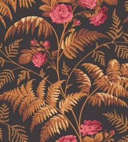 Color – Rose & Burnt Orange on Black