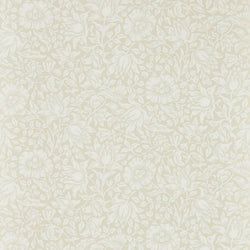 Color – Cream Ivory