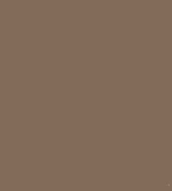 Color – Metallic Bronze
