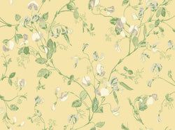 Color – Grey & Lime on Yellow