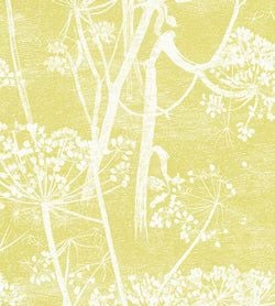 Color – White & Chaurtreuse