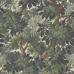 Color – Verdure