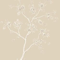 Color – Beige