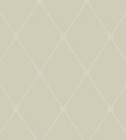 Color – Soft Olive