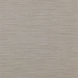 Color – Silver