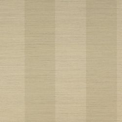 Color – Biscuit