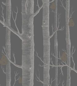 Color – White & Metallic Silver on Charcoal