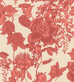 Color – Red on Cream