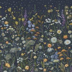 Color – Galaxias