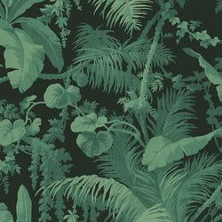 Color – Noir