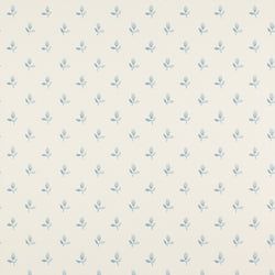 Color – Blue