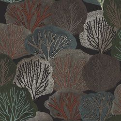 Color – Nocturne