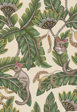 Color – Sage & Chartreuse on Parchment