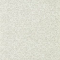 Color – Chalk
