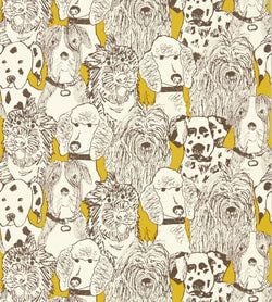 Color – Mustard