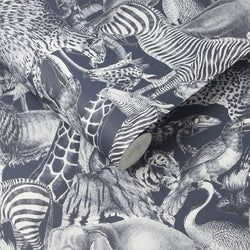 Color – Gecko