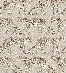 Safari on Taupe