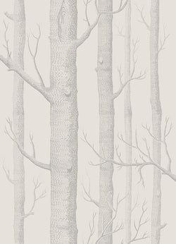 Color – Parchment