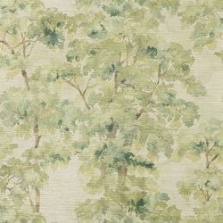 Color – Olive Green