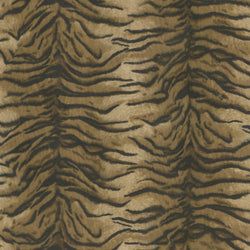 Color – Umber