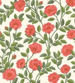 Color – Rouge & Spring Green on Parchment
