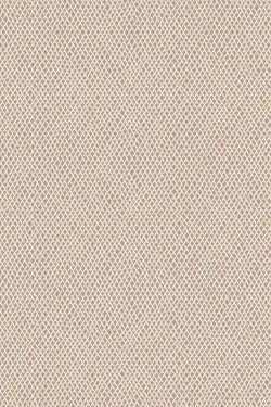 Color – Dead Salmon