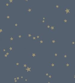 Color – Metallic Gilver on Midnight