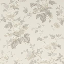 Color – Silver