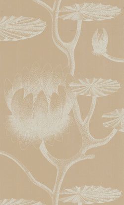 Color – Parchment on Sand