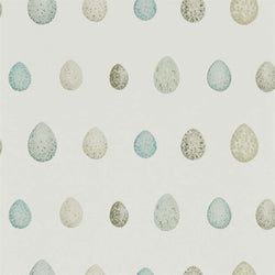 Color – Eggshell/Ivory
