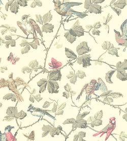 Rose & Old Olive on Cream