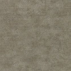 Color – Fossil