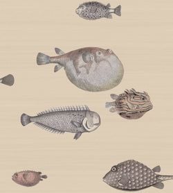 Color – Taupe