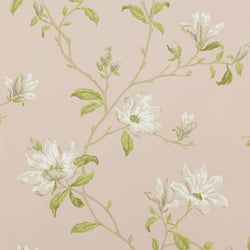Color – Shell Pink