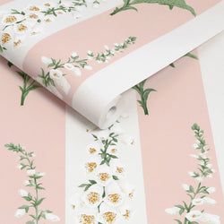 Color – Powder