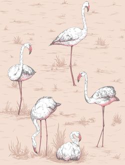 Color – Plaster Pink