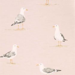 Color – Blush