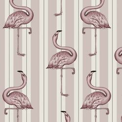 Color – Off-White & Macaroon-Pink