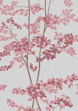 Color – Rose