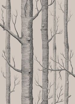 Color – Linen & Charcoal