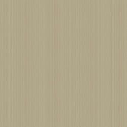 Color – Mica Metallic Gilver