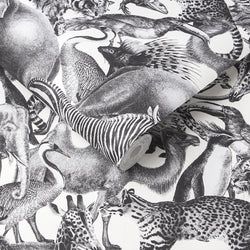 Color – Zebra