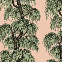 Color – Blush / Willow