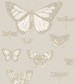 Color – Metallic Gilver & White on Stone