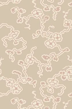 Color – Setting Plaster
